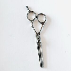 Arius Eickert Pheonix Professional Hair Thinning Shears 5.75" Steel 8435-25